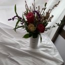 체리쉬독 이미지