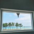 빅오커피앤스테이 | 울진 후포 오션뷰 카페 추천 빅오커피 앤 스테이 내돈내산