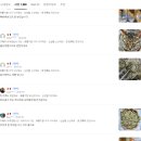 (주)아이디온한국협농 | 협농 김채 X 김가루 업소용 사용법 및 꿀팁 공유