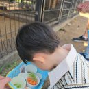 경기도 양평군 사랑나무어린이집 | [경기양평/가볼만한 곳] 양평실내동물원 곤충체험 굼프로 방문후기