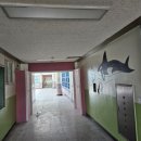 양오초등학교 이미지