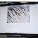 헤어스파자연체감 네이버블로그