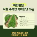 강회농장 이미지