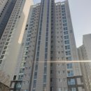 강남-105 이미지