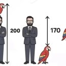 다음 앵무새의 키를 구하시오. 이미지