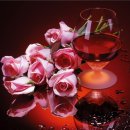 천년의사랑 이미지