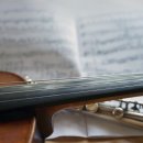 첼로 중급(성인) 이미지