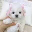 건강생활 부산점