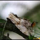 제천휴게소 이미지