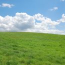 일신행정사 이미지