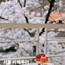 벚꽃카페