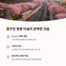 진해대로 이미지