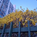 한국아파트 앞 이미지