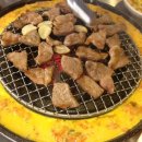 마포갈매기 이미지