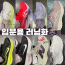 Max Speed | 초보를 위한 입문용 러닝화 후기[아식스/나이키/호카/뉴발란스]