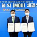 도청식품 이미지