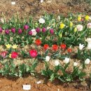 노루마당 이미지