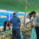 울진시장 이미지