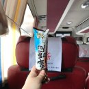 꿈모텔 | 전라도광주여행,광주숙박,게하광주기아챔피언스필드(챔필)근처,광주게스트하우스 랄라하우스를 다녀오다
