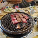 왕갈비둥지 이미지