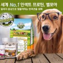 경기한펫 네이버블로그