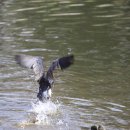 백화낚시터 이미지