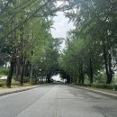 대신고등학교(정문,교정일각,상담실+복도,컴퓨터실,옥상) 이미지