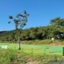 한정리파크골프장 이미지