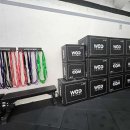 크로스핏 앤츠 이미지