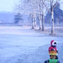 백로트레일러 이미지