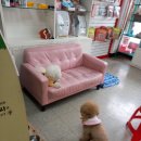 쏠티유치원 네이버블로그