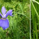 동쪽으로 이미지