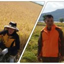 녹색농원 이미지