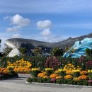 폴인러브 이미지