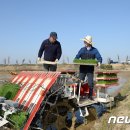 단평1리 뉴스1