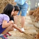 청계목장 이미지