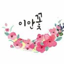 이안도매
