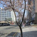 모래뜰펜션 2호점 | [부산 송정] 송정해수욕장 오션뷰 펜션 추천 🌊 더카이브(KAIVE) 아이랑 가기 좋은 자쿠지 숙소 솔직후기