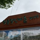 광주천 | 4월, 봄 맞이 유채꽃 구경 ‘광주천’ 후기