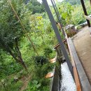 장미꽃핀집 이미지