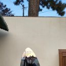 파니 게스트하우스 이미지