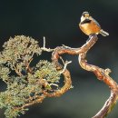 문수야구장 이미지