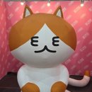 냥집사 | 대전 DCC 궁디팡팡 캣페스타 후기 | 냥집사 솔직 리뷰 (주차 정보 포함)