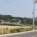 안성시 다목적 야영장 이미지