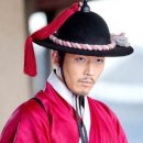 뿌리깊은 나무 이미지