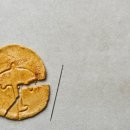 뽑기쉼터 이미지