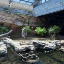 가치마루농장 | 경남 사천 아라마루 아쿠아리움｜할인 셔틀 케이블카 하마시간 주차장