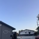 냥이 많은 식탁 | 강릉 고양이펜션 네코스테이 후기｜개냥이 삼색이와 집사체험 가능한 이색숙소