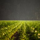 서울공장부동산중개사사무소 이미지