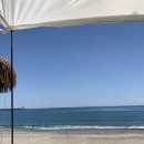 [경주: 아이와 함께] 관성솔밭해변: 이게 여름이야?!